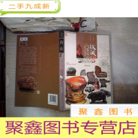 正 九成新奇石收藏与鉴定 全彩版