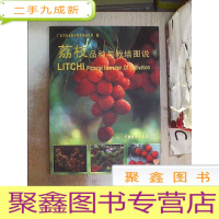 正 九成新荔枝品种与栽培图说