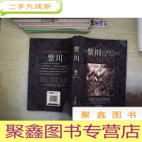 正 九成新紫川 V 一统天下.