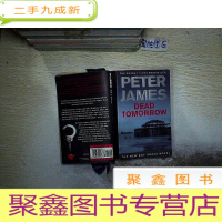 正 九成新Dead Tomorrow 死亡明天