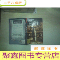 正 九成新World War II PILOTS 二战飞行员 01.