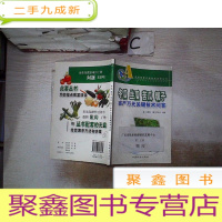 正 九成新冬瓜丝瓜苦瓜瓠子亩产万元关键技术问答 附光盘
