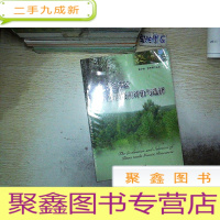 正 九成新火炬松基因资源评价与选择 (未开封),