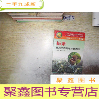 正 九成新板栗优质丰产栽培彩色图说 (未开封).