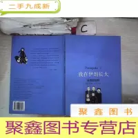 正 九成新我在伊朗长大3:流落奥地利