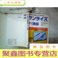 正 九成新日文书一本 (011)