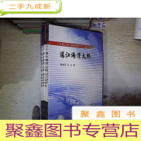 正 九成新湛江海湾大桥(3册+光盘.).