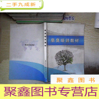 正 九成新恶臭培训教材.