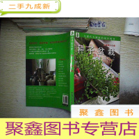 正 九成新种子盆栽 附盘.