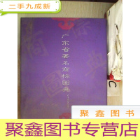 正 九成新广东省著名商标图典、