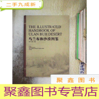 正 九成新乌兰布和沙漠图鉴.