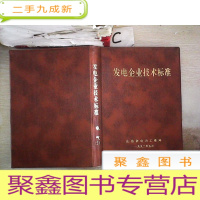 正 九成新发电企业技术标准:电气(2)