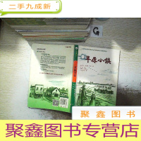 正 九成新草原小镇