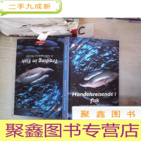 正 九成新Handelsreisende i fisk鱼类贸易旅行者(A04)