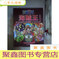 正 九成新海贼王 经典热血动漫珍藏画集