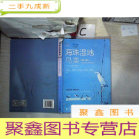 正 九成新海珠湿地鸟类