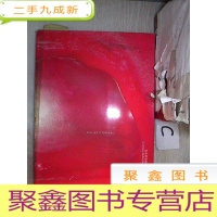 正 九成新名品 香港摄影师联网2008-2009(008)