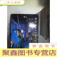 正 九成新OP reis in Nederland 荷兰之行