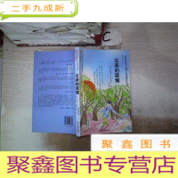 正 九成新父亲的荣耀