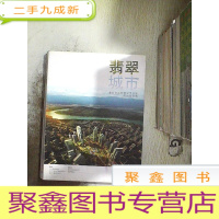 正 九成新翡翠城市:面向中国智慧绿色发展的规划指南