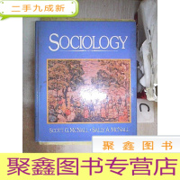 正 九成新SOCIOLOGY 社会学(57)