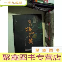 正 九成新当代梅山精英