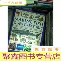 正 九成新MARINE FISH &amp; SEA CREATURES 海洋鱼类和海洋生物