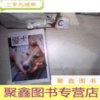 正 九成新爱犬家庭医生:狗狗疾病快速诊断与处理