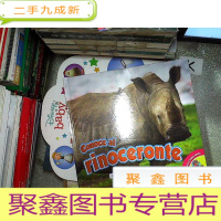 正 九成新EL SAFARI AFRICANO CONOCE AL RINOCERONTE 非洲野生动物认识犀牛