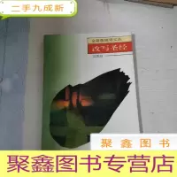 正 九成新改写圣经