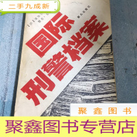 正 九成新国际刑警档案