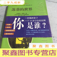 正 九成新苏菲的世界