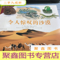 正 九成新野外探秘密手册~令人惊叹的沙漠。