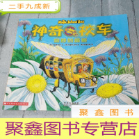 正 九成新奇妙的蜂巢