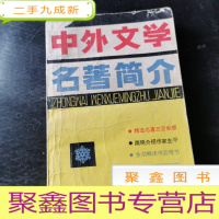 正 九成新中外文学名著简介
