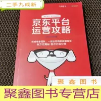 正 九成新京东平台运营攻略(全彩)