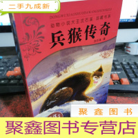 正 九成新兵猴传奇