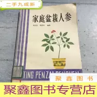 正 九成新家庭盆栽人参