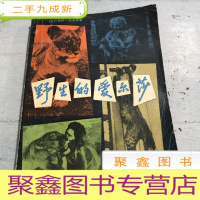 正 九成新野生的艾尔莎