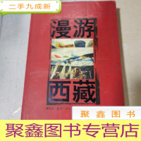 正 九成新漫游西藏