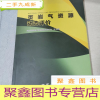 正 九成新页岩气资源动态评价