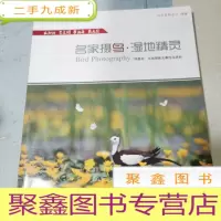 正 九成新名家摄鸟 湿地精灵