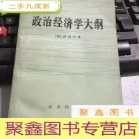 正 九成新政治经济学大纲
