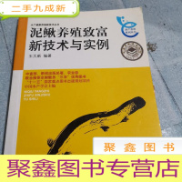 正 九成新泥鳅养殖致富新技术与实力