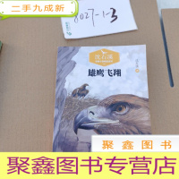 正 九成新沈石溪动物小说 雄鹰飞翔