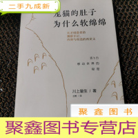 正 九成新龙猫的肚子为什么软绵绵:吉卜力感动世界的秘密