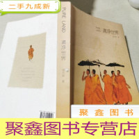 正 九成新清净世界