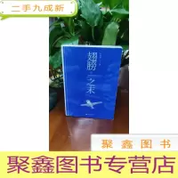 正 九成新翅膀之末