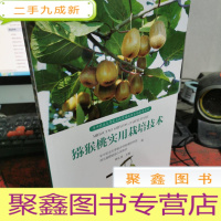正 九成新猕猴桃实用栽培技术