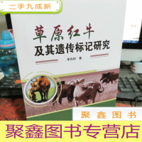 正 九成新草原红牛及其遗传标记研究